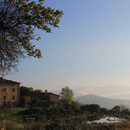 Fattoria San Paolo Agriturismo Montecastelli Pisano Exteriör bild