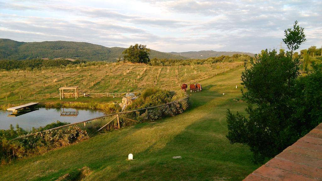Fattoria San Paolo Agriturismo Montecastelli Pisano Exteriör bild